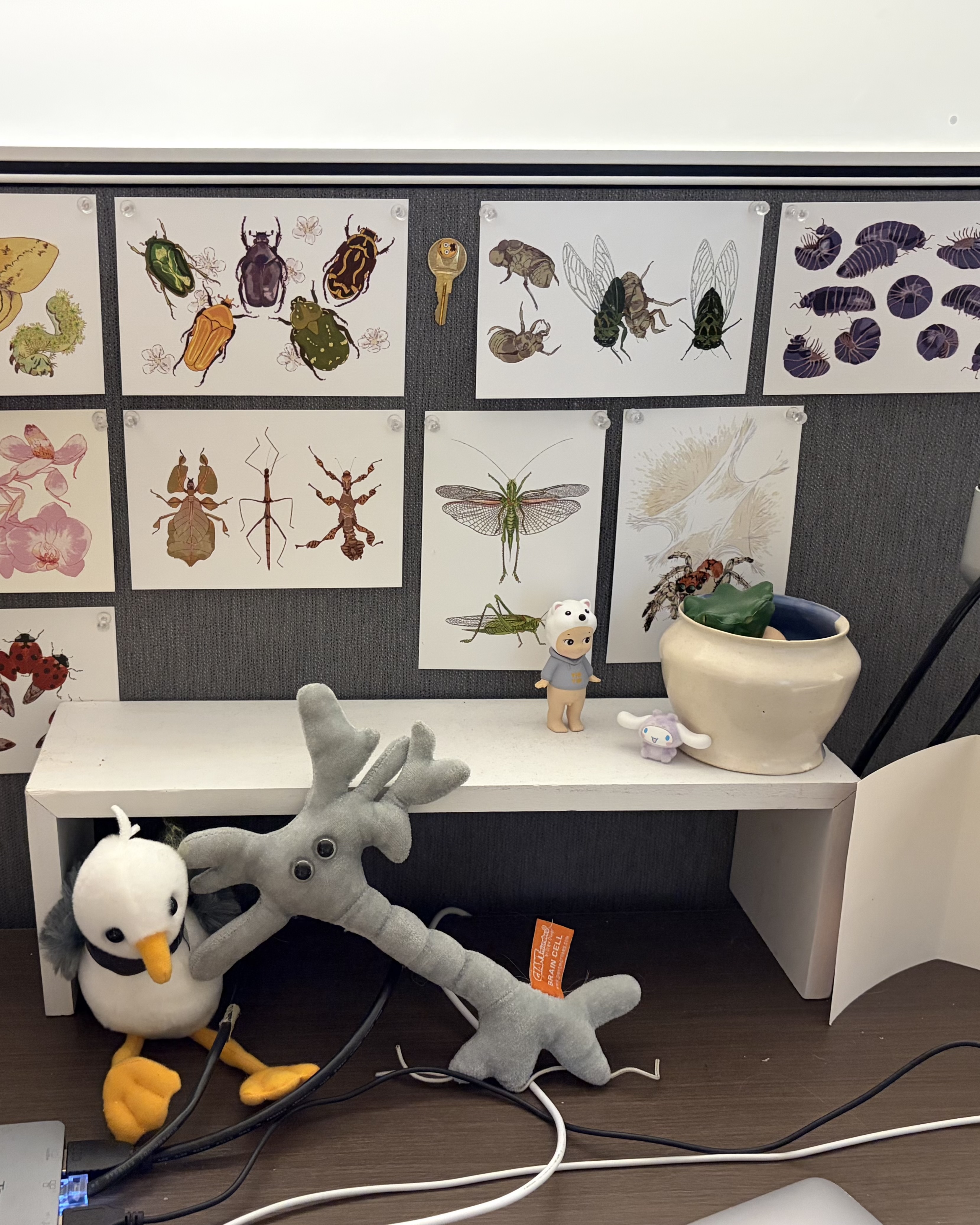 print club among other prints and items on a wall