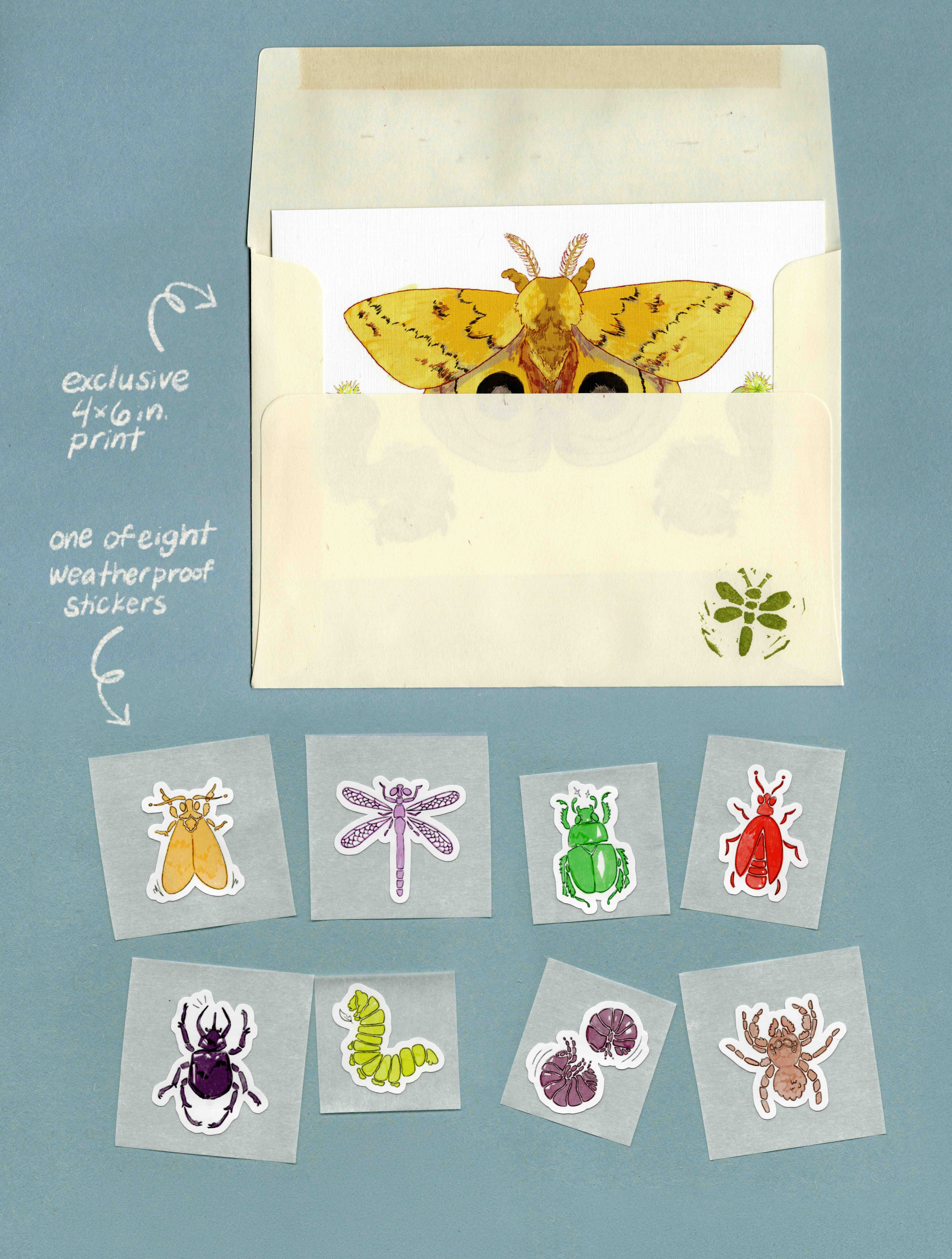 eight featured bug stickers
