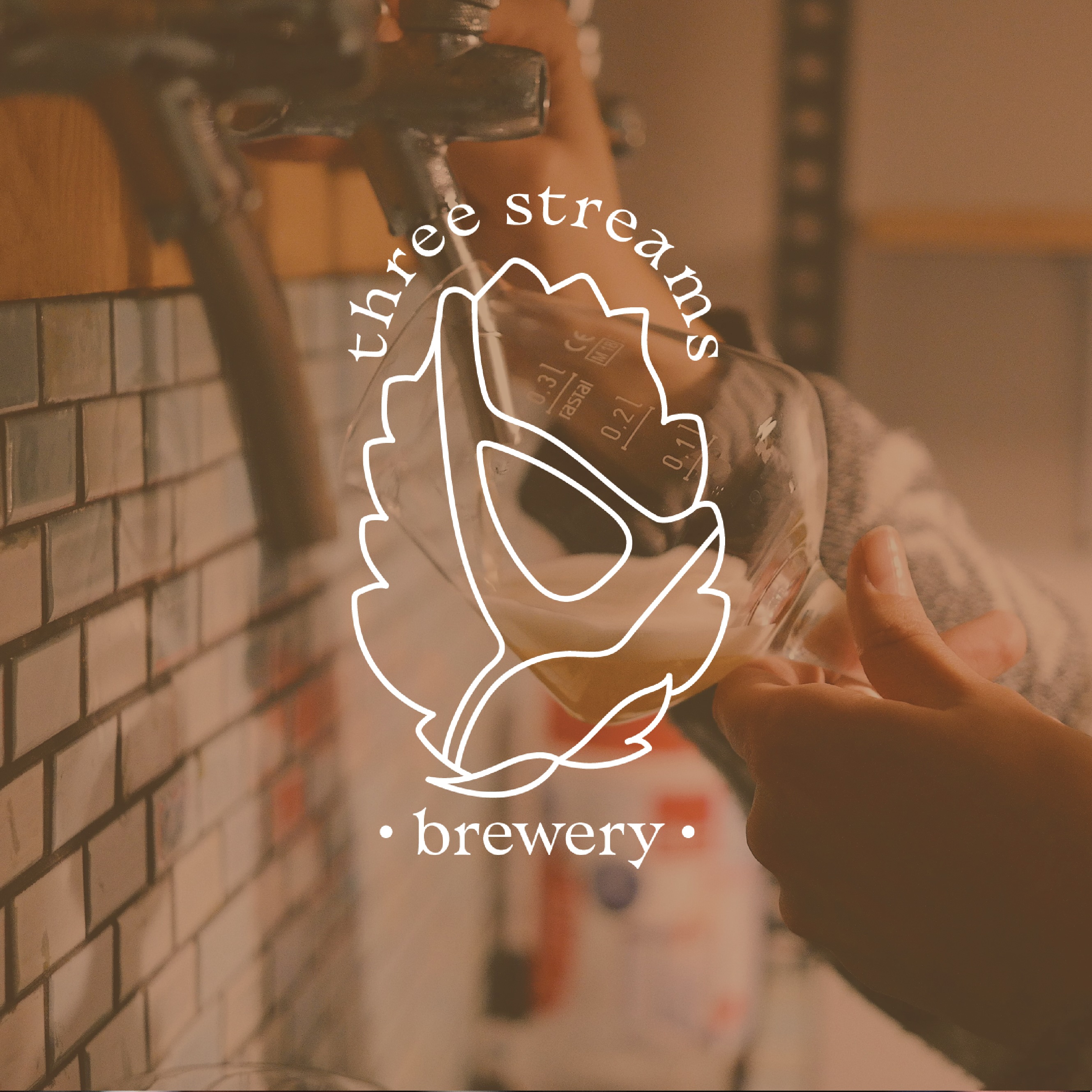 logo over beer